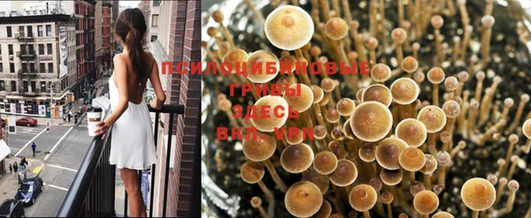 синтетический гашиш Пестово