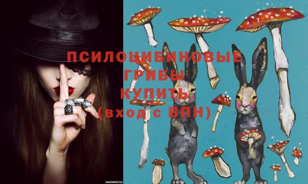 синтетический гашиш Пестово