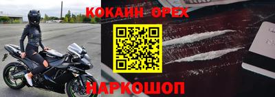индика Бийск
