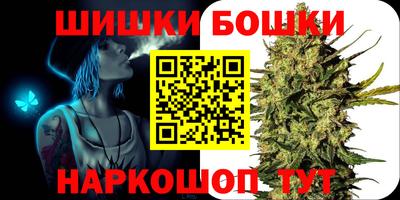 индика Бийск