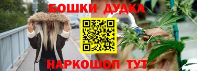 индика Бийск