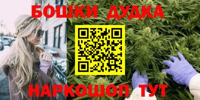 индика Бийск