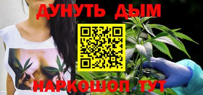 индика Бийск