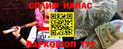 индика Бийск