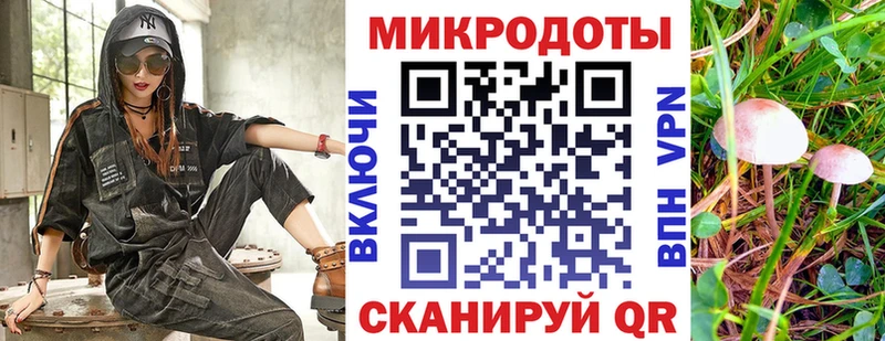 дарнет шоп Выборг Псилоцибиновые грибы GOLDEN TEACHER