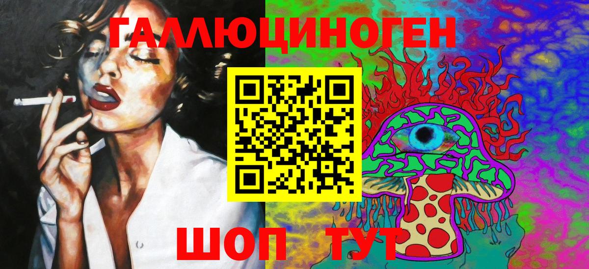 Выборг  Псилоцибиновые грибы Psilocybe  Вход с VPN 