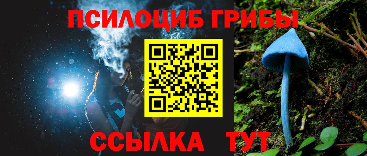 Галлюциногенные грибы мухоморы Выборг