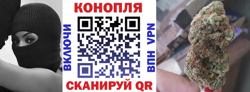 Марихуана сатива  наркошоп  Выборг 